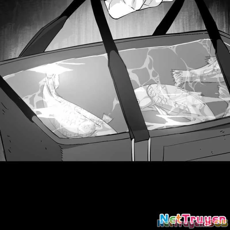 Sát Thủ Áo Đỏ Chapter 9 - Trang 3