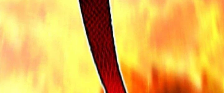 Thần Sủng Tiến Hóa Chapter 136 - Trang 3