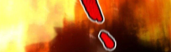 Thần Sủng Tiến Hóa Chapter 136 - Trang 3