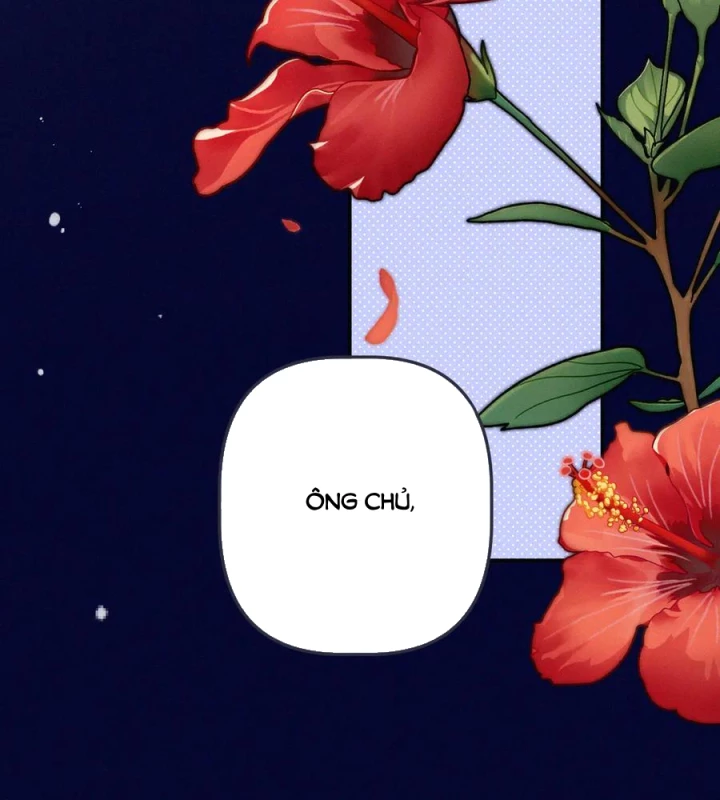 Lâu Tiểu Thư, Lại Gặp Nhau Rồi Chapter 151 - Trang 2