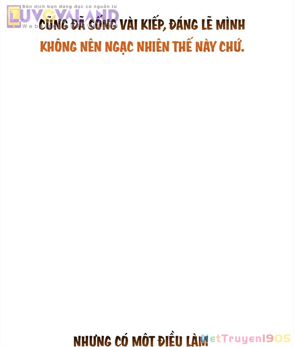Tôi Thuần Hóa Chó Điên Của Chồng Cũ Chapter 111 - Trang 2