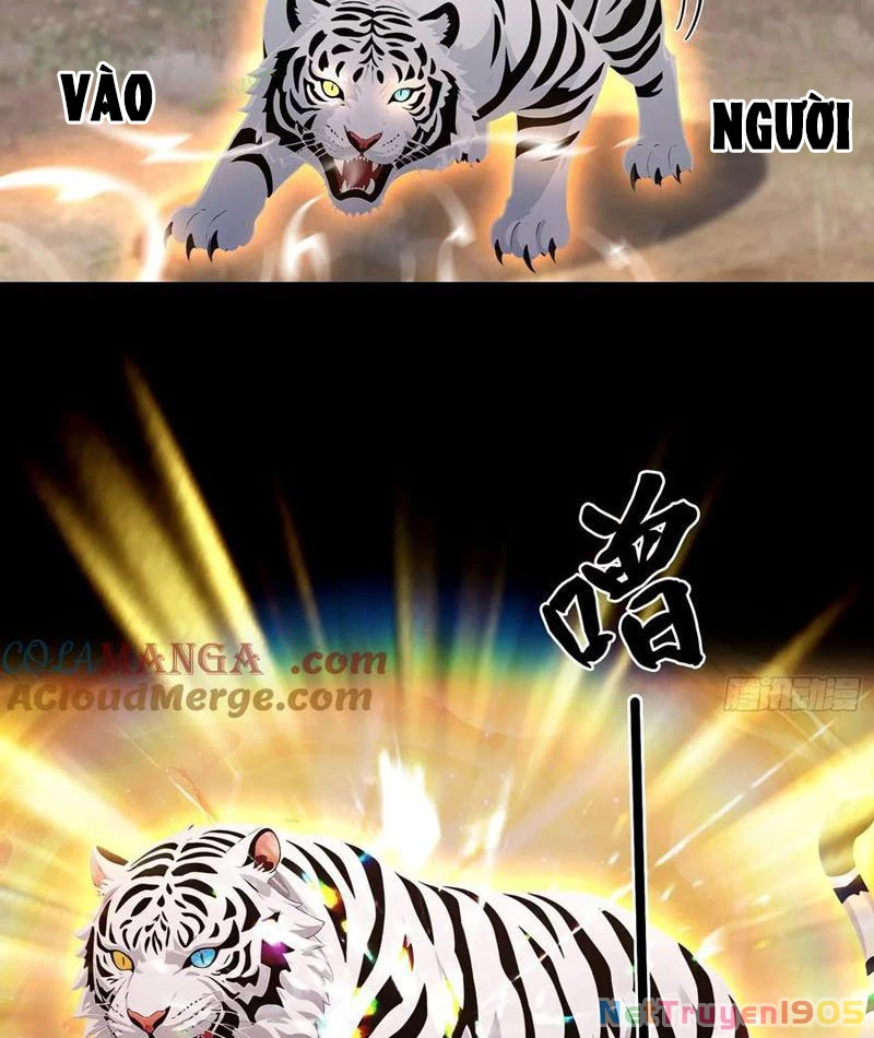 Ảo Ma! Ta Mở Lớp Huấn Luyện Nữ Đế! Chapter 101 - Trang 3