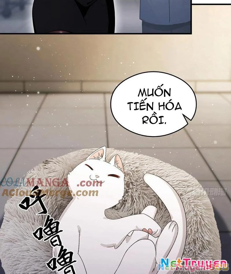 Ảo Ma! Ta Mở Lớp Huấn Luyện Nữ Đế! Chapter 102 - Trang 3