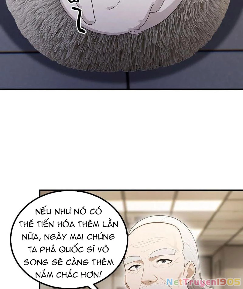 Ảo Ma! Ta Mở Lớp Huấn Luyện Nữ Đế! Chapter 102 - Trang 3