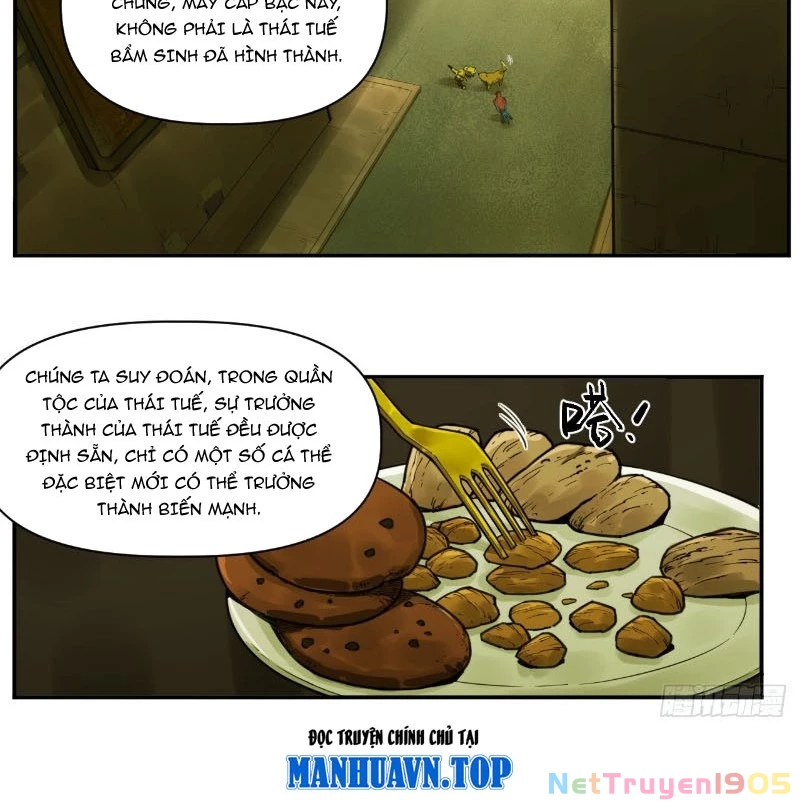 Hộp mãnh thú: Kỷ nguyên cơ giáp Chapter 6 - Trang 3