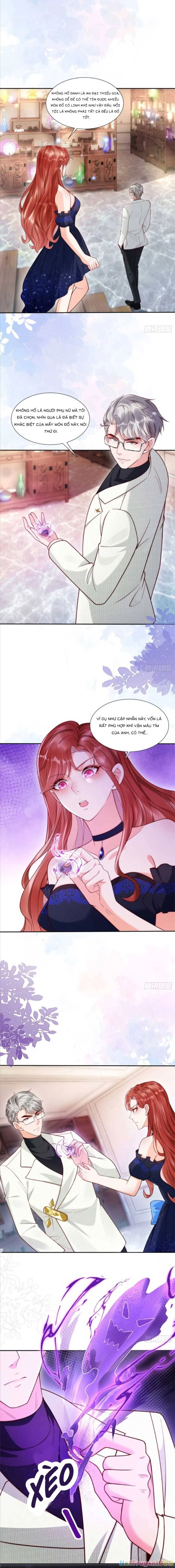 Cô Vợ Nhỏ Cứ Thích Phá Vỡ Hình Tượng Chapter 3 - Trang 3