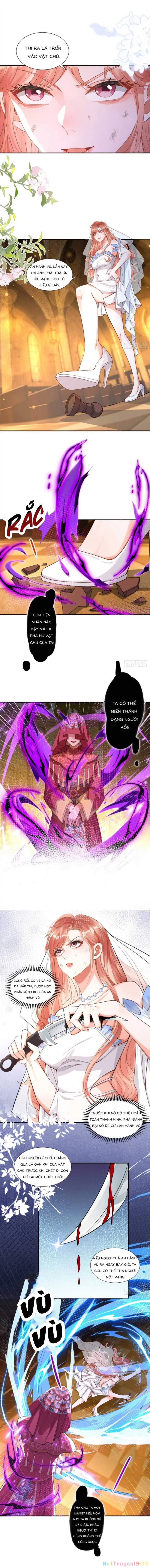 Cô Vợ Nhỏ Cứ Thích Phá Vỡ Hình Tượng Chapter 6 - Trang 3