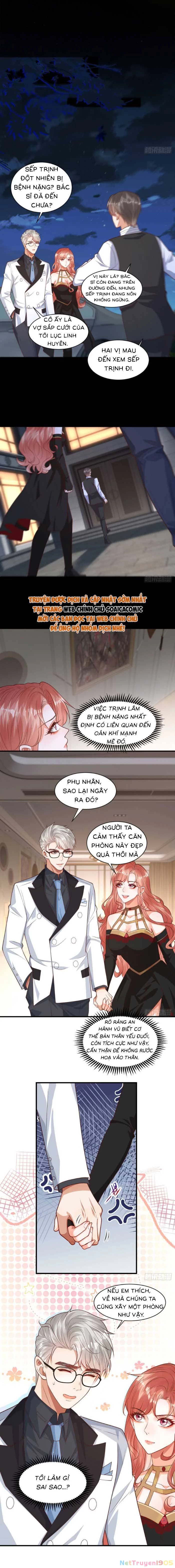 Cô Vợ Nhỏ Cứ Thích Phá Vỡ Hình Tượng Chapter 11 - Trang 3