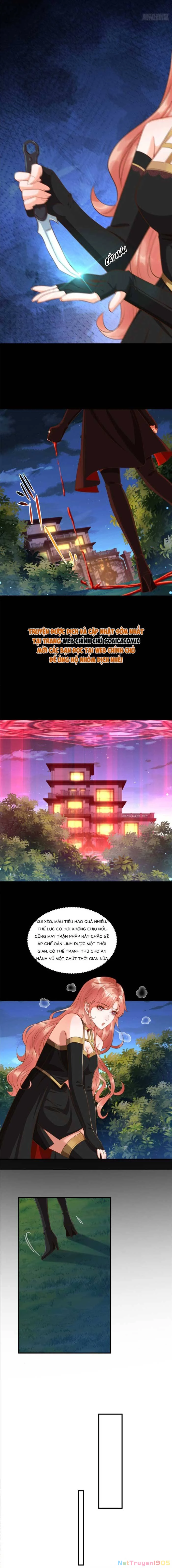 Cô Vợ Nhỏ Cứ Thích Phá Vỡ Hình Tượng Chapter 15 - Trang 3