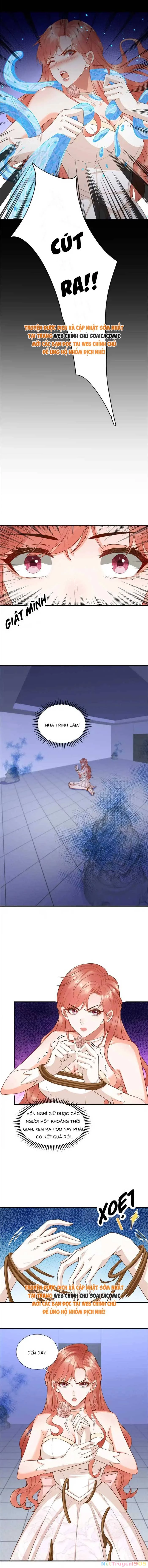 Cô Vợ Nhỏ Cứ Thích Phá Vỡ Hình Tượng Chapter 16 - Trang 3