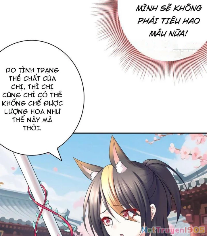 Ta biến thành miêu nương Chapter 28 - Trang 3