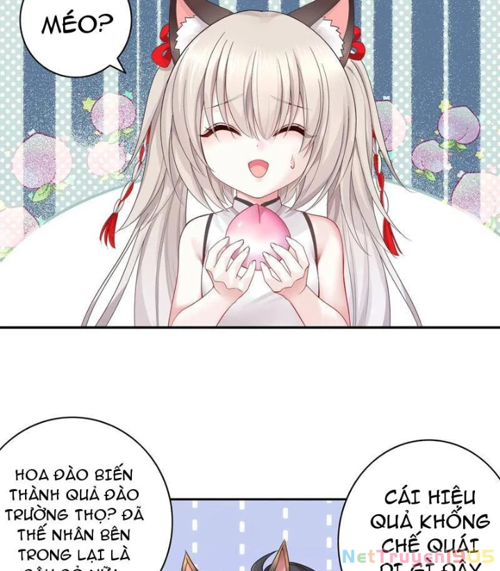Ta biến thành miêu nương Chapter 28 - Trang 3