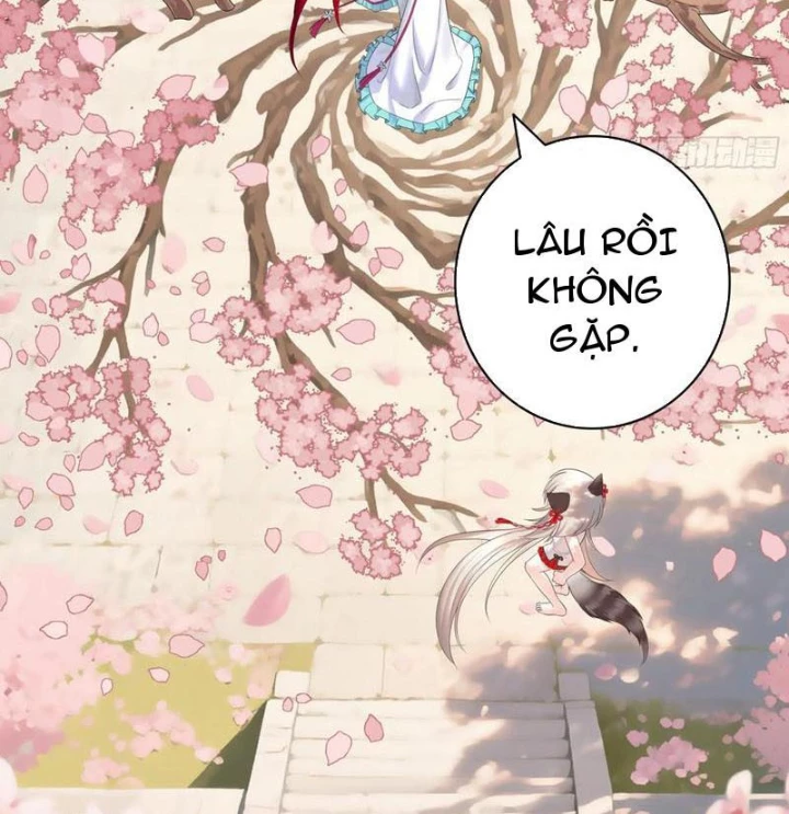 Ta biến thành miêu nương Chapter 29 - Trang 3