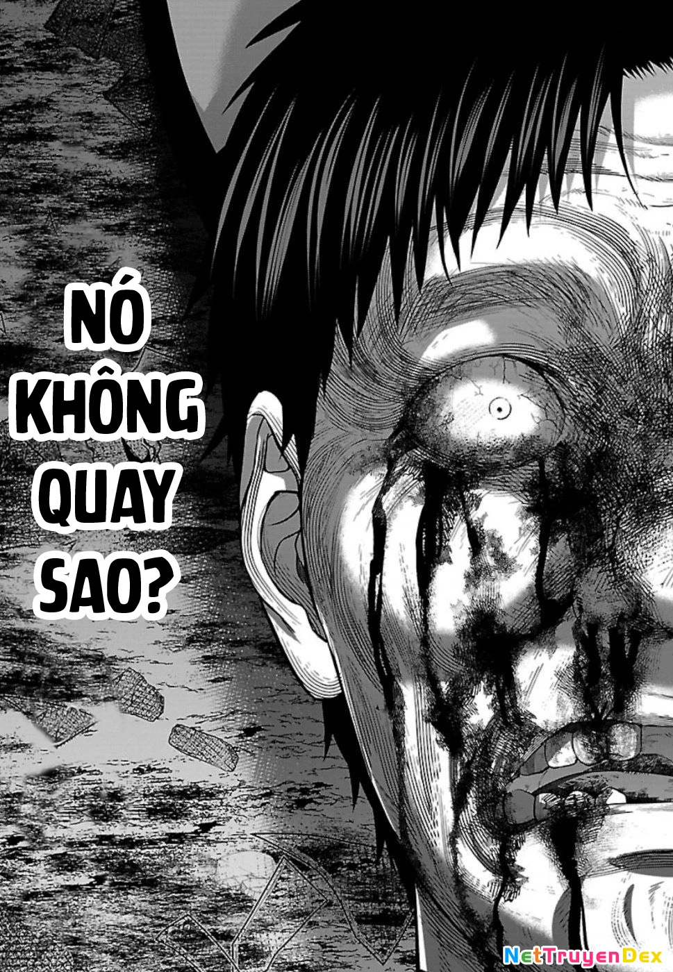 DEAD Tube Chapter 55 - Trang 4