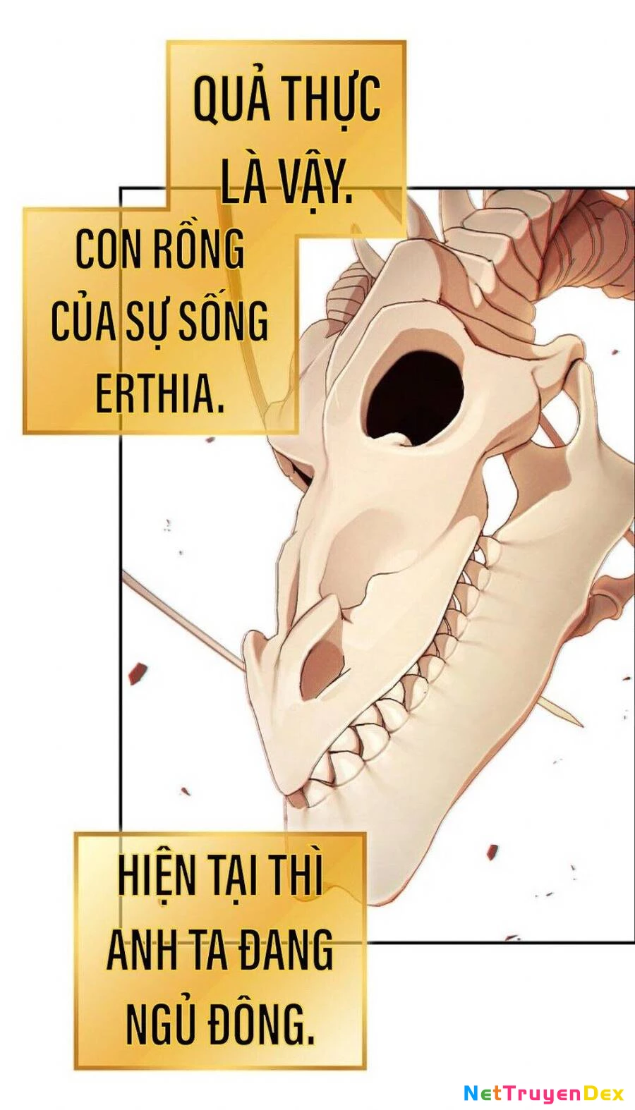 Tái Thiết Hầm Ngục Chapter 27 - Next Chapter 28