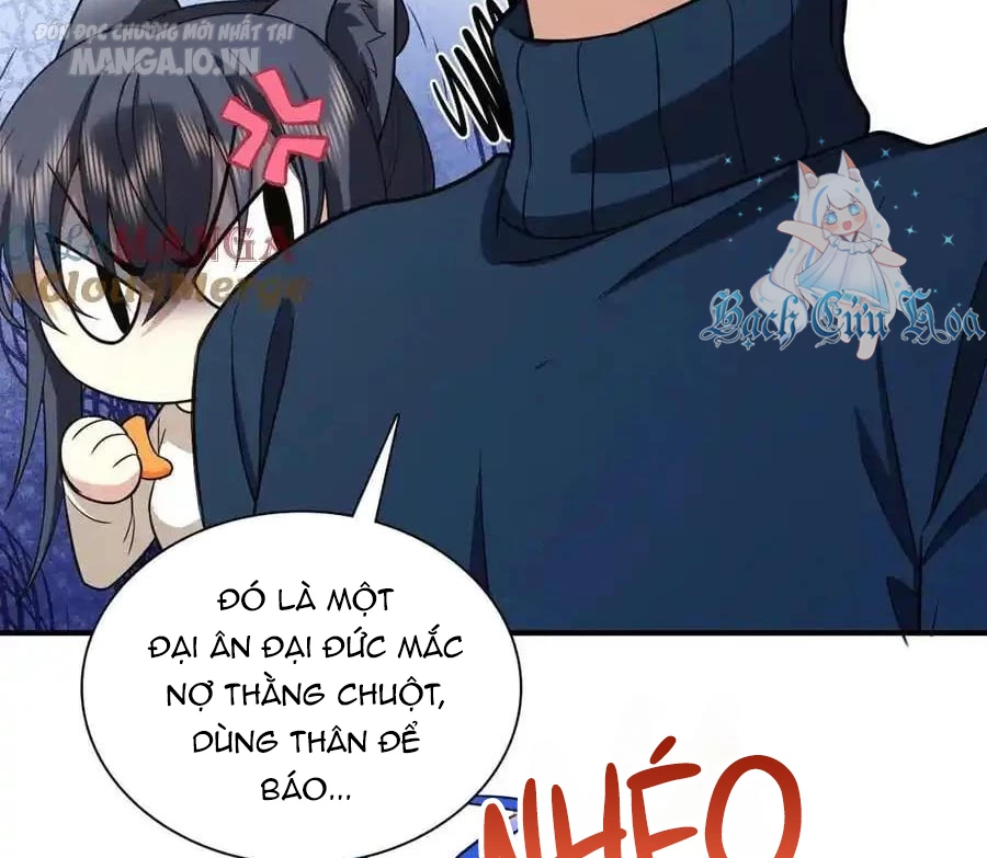Bà Xã Nhà Tôi Đến Từ Ngàn Năm Trước Chapter 268 - Trang 4