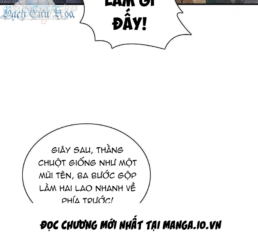 Bà Xã Nhà Tôi Đến Từ Ngàn Năm Trước Chapter 268 - Trang 4