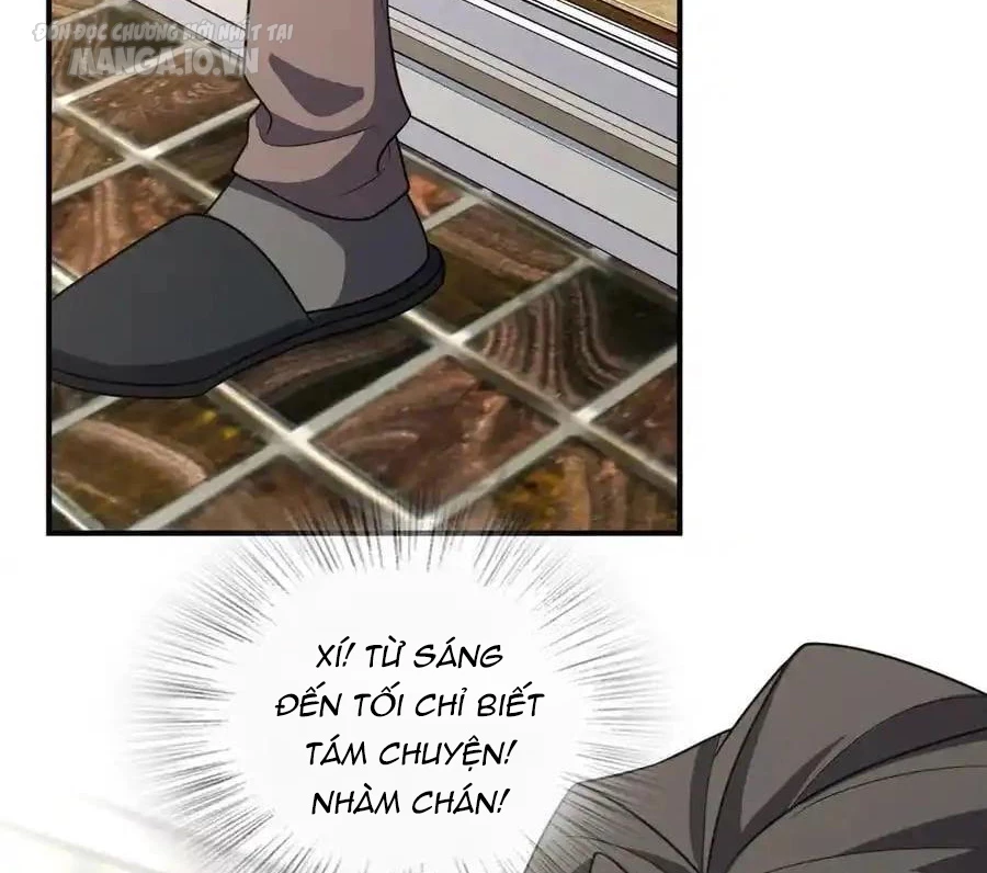 Bà Xã Nhà Tôi Đến Từ Ngàn Năm Trước Chapter 268 - Trang 4