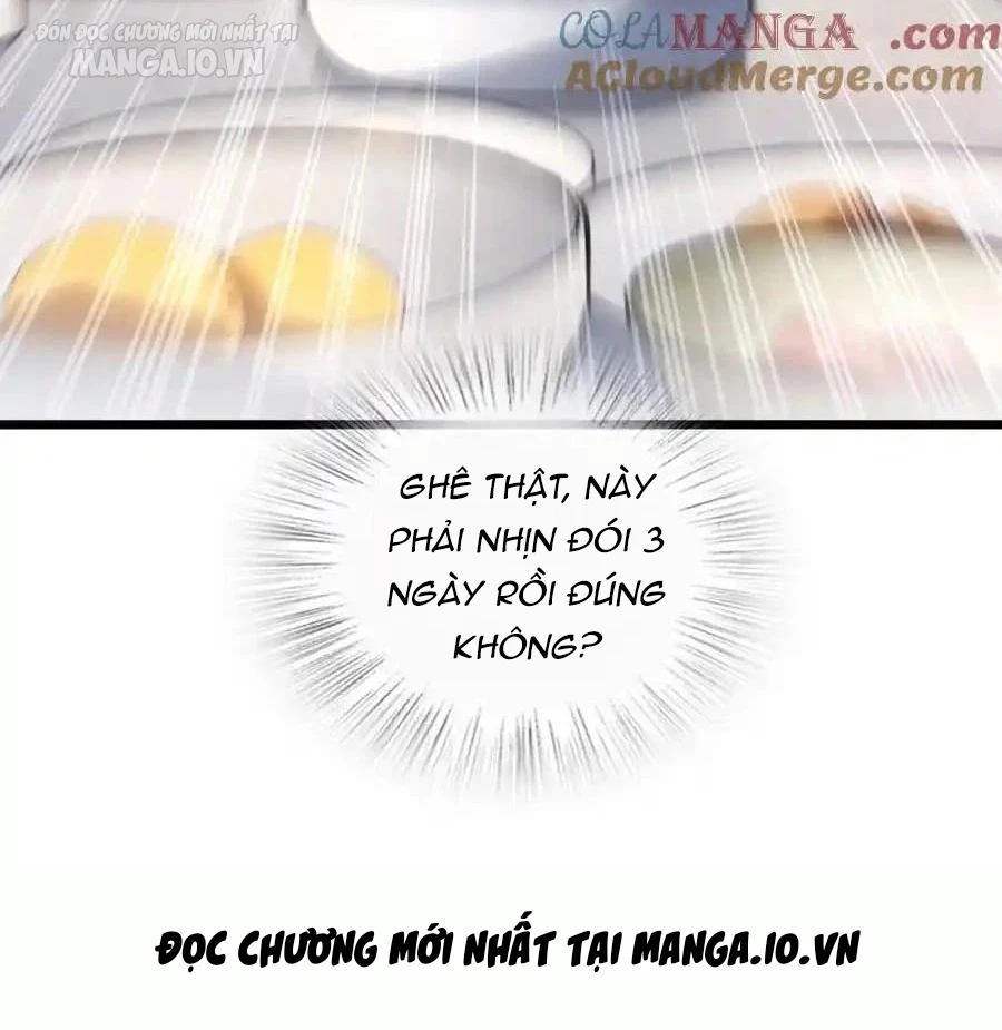 Bà Xã Nhà Tôi Đến Từ Ngàn Năm Trước Chapter 276 - Trang 4