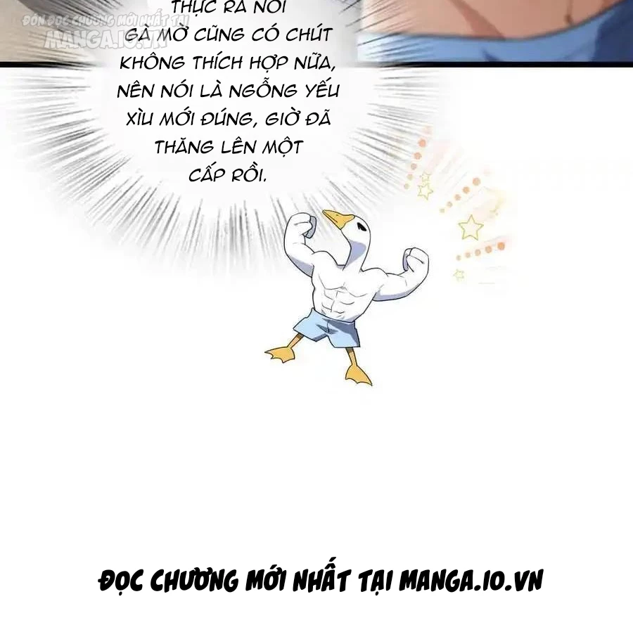 Bà Xã Nhà Tôi Đến Từ Ngàn Năm Trước Chapter 276 - Trang 4