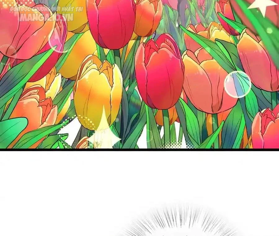 Bà Xã Nhà Tôi Đến Từ Ngàn Năm Trước Chapter 277 - Trang 4