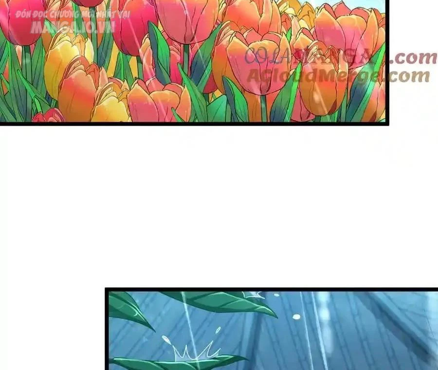 Bà Xã Nhà Tôi Đến Từ Ngàn Năm Trước Chapter 277 - Trang 4