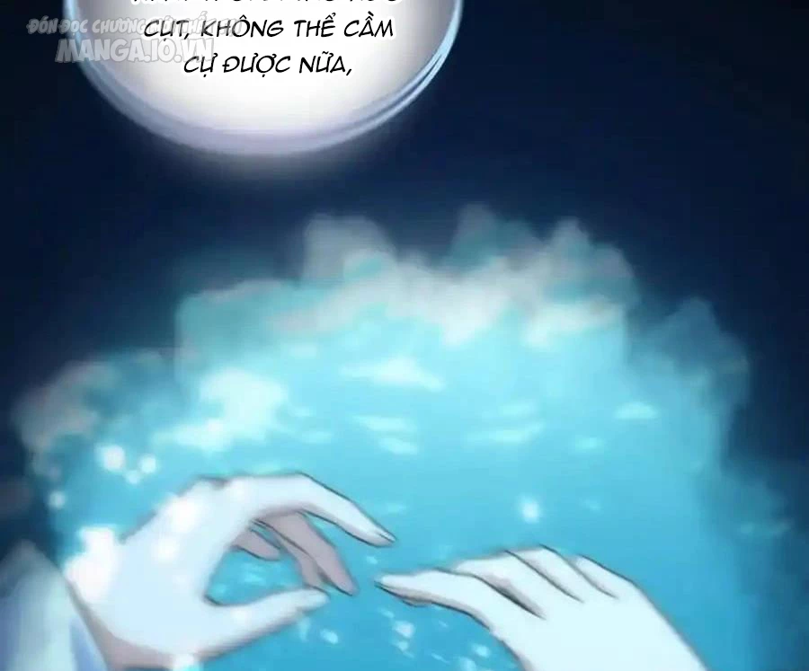 Bà Xã Nhà Tôi Đến Từ Ngàn Năm Trước Chapter 278 - Trang 4