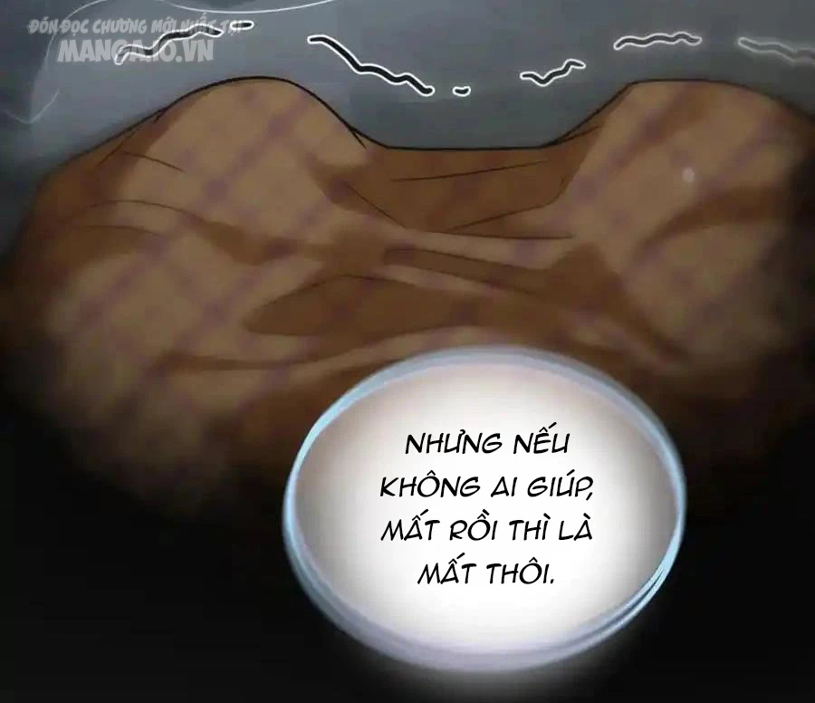 Bà Xã Nhà Tôi Đến Từ Ngàn Năm Trước Chapter 278 - Trang 4