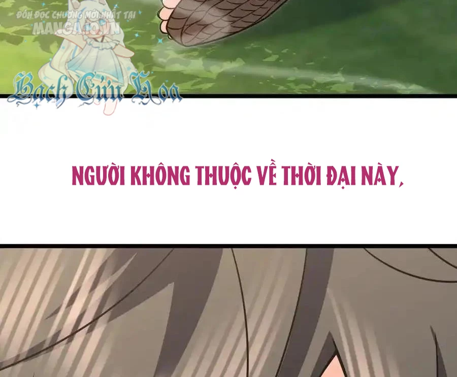 Bà Xã Nhà Tôi Đến Từ Ngàn Năm Trước Chapter 279 - Trang 4