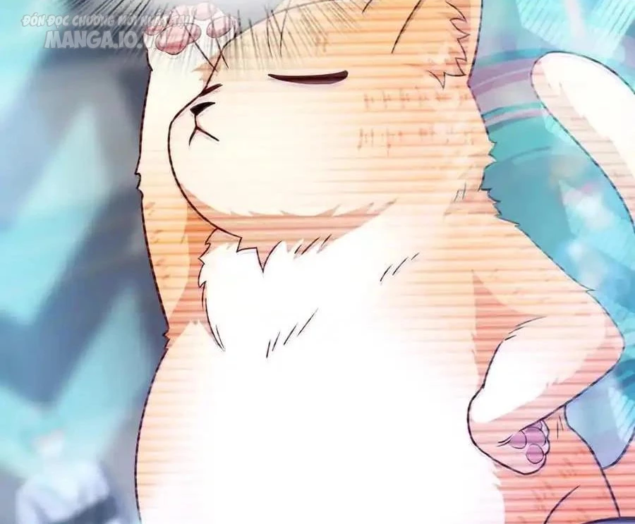 Bà Xã Nhà Tôi Đến Từ Ngàn Năm Trước Chapter 280 - Trang 4