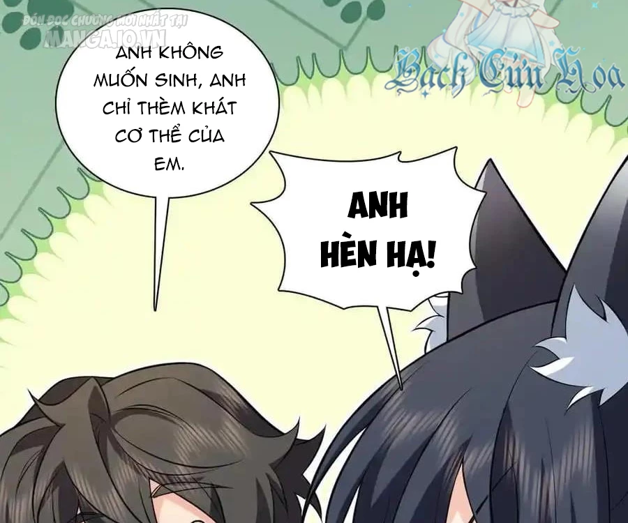 Bà Xã Nhà Tôi Đến Từ Ngàn Năm Trước Chapter 281 - Trang 4