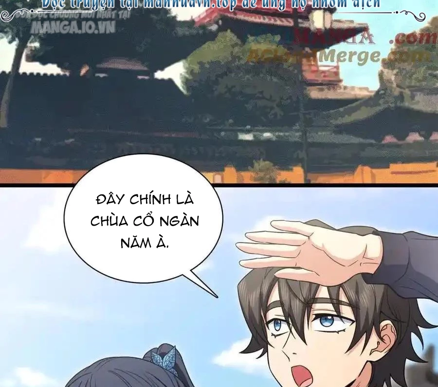 Bà Xã Nhà Tôi Đến Từ Ngàn Năm Trước Chapter 282 - Trang 4