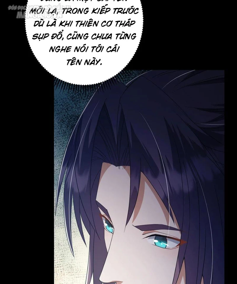 Chưởng Môn Khiêm Tốn Chút Chapter 374 - Trang 4
