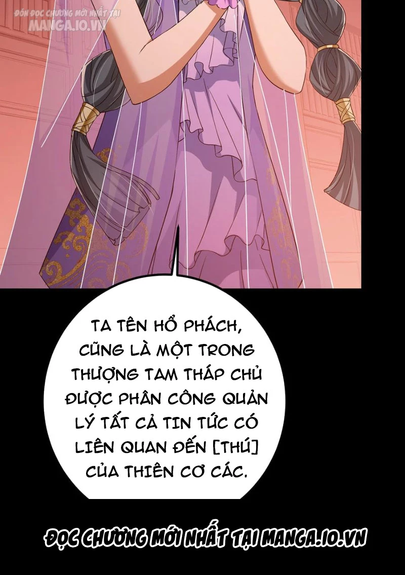 Chưởng Môn Khiêm Tốn Chút Chapter 374 - Trang 4