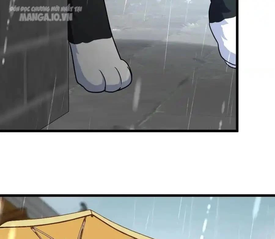 Bà Xã Nhà Tôi Đến Từ Ngàn Năm Trước Chapter 283 - Trang 4