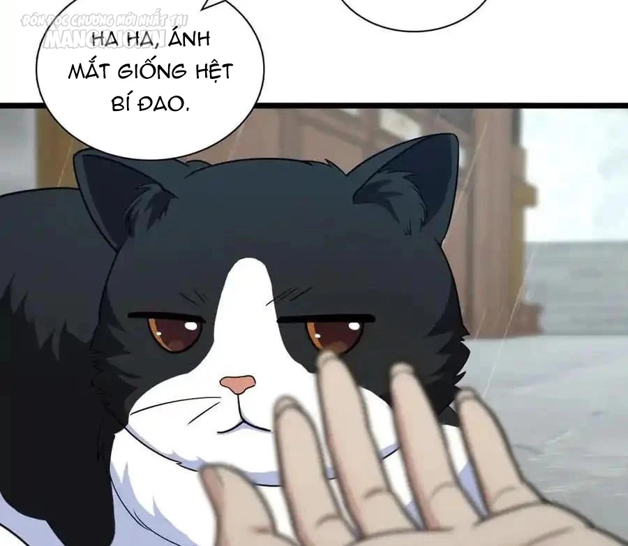 Bà Xã Nhà Tôi Đến Từ Ngàn Năm Trước Chapter 283 - Trang 4