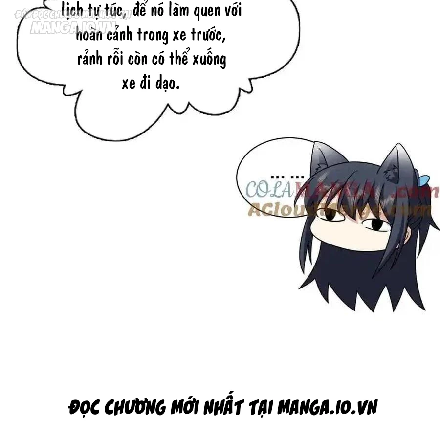 Bà Xã Nhà Tôi Đến Từ Ngàn Năm Trước Chapter 283 - Trang 4