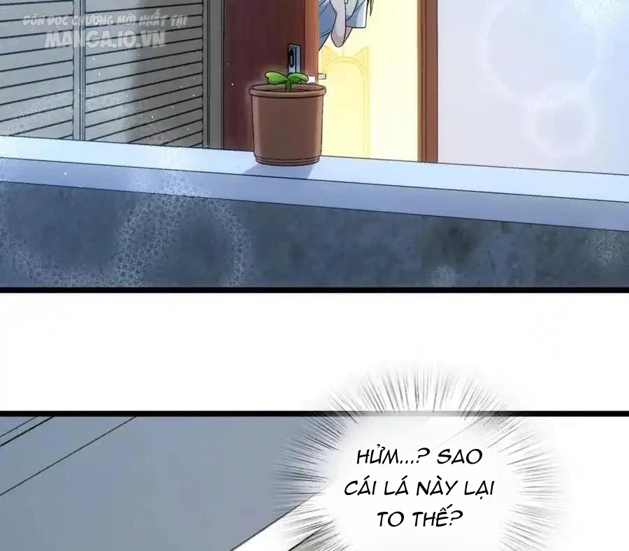 Bà Xã Nhà Tôi Đến Từ Ngàn Năm Trước Chapter 283 - Trang 4