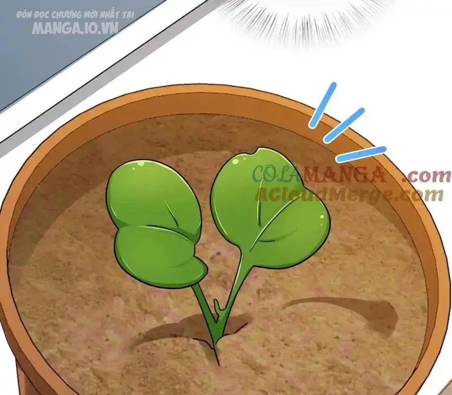 Bà Xã Nhà Tôi Đến Từ Ngàn Năm Trước Chapter 283 - Trang 4