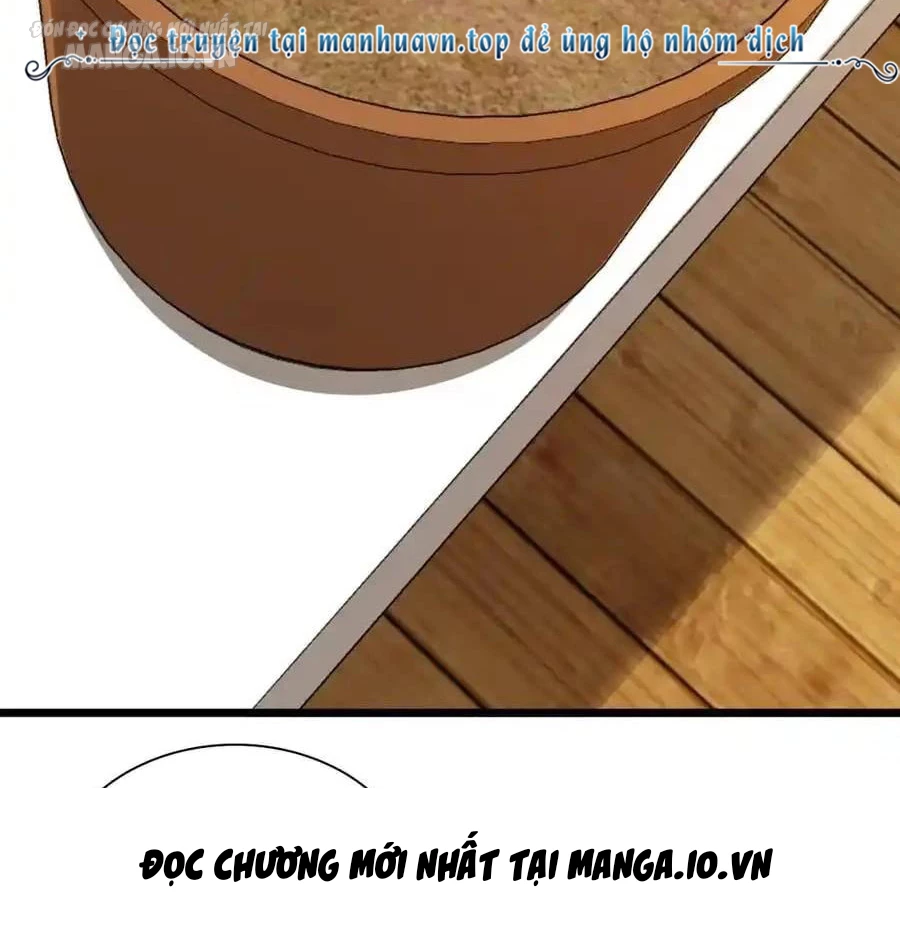 Bà Xã Nhà Tôi Đến Từ Ngàn Năm Trước Chapter 283 - Trang 4