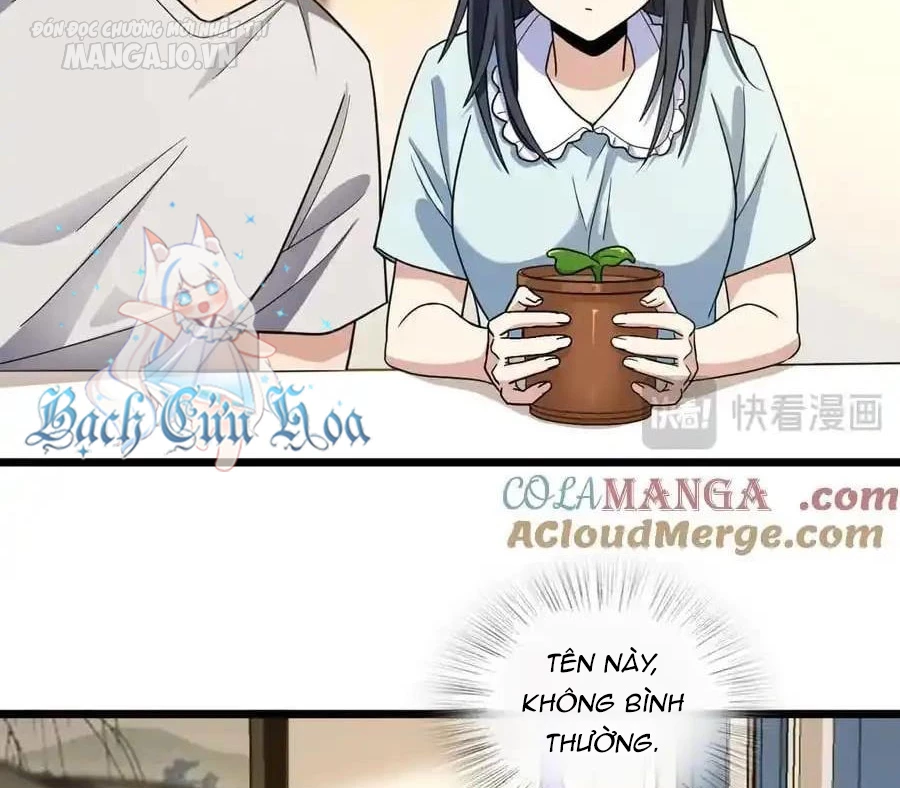 Bà Xã Nhà Tôi Đến Từ Ngàn Năm Trước Chapter 283 - Trang 4