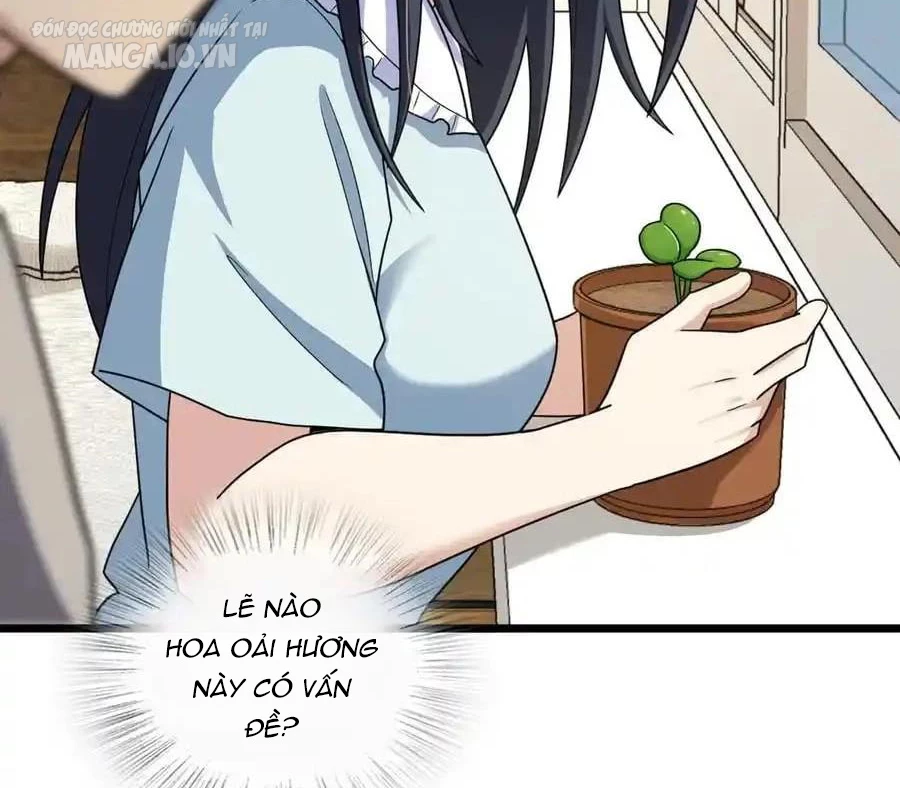 Bà Xã Nhà Tôi Đến Từ Ngàn Năm Trước Chapter 283 - Trang 4