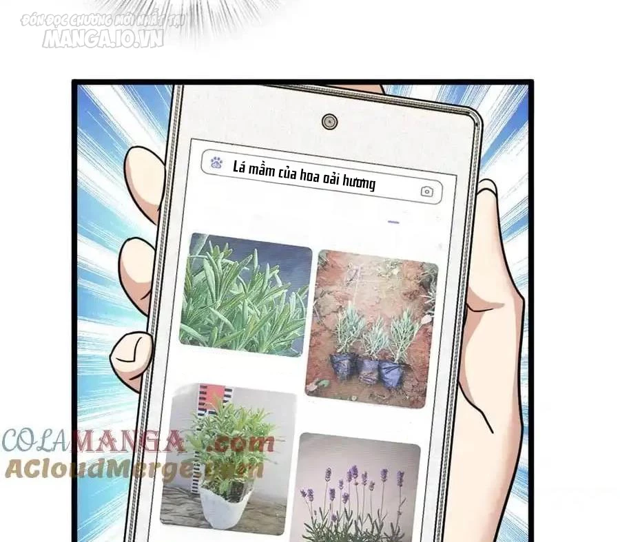 Bà Xã Nhà Tôi Đến Từ Ngàn Năm Trước Chapter 283 - Trang 4