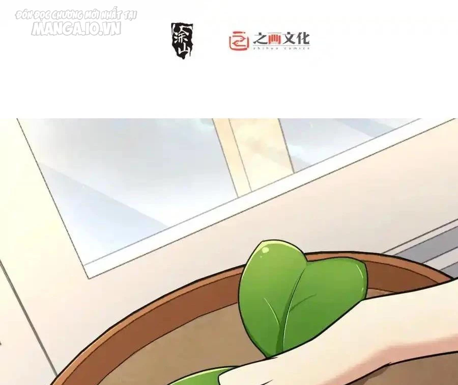 Bà Xã Nhà Tôi Đến Từ Ngàn Năm Trước Chapter 284 - Trang 4