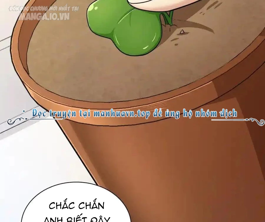 Bà Xã Nhà Tôi Đến Từ Ngàn Năm Trước Chapter 284 - Trang 4