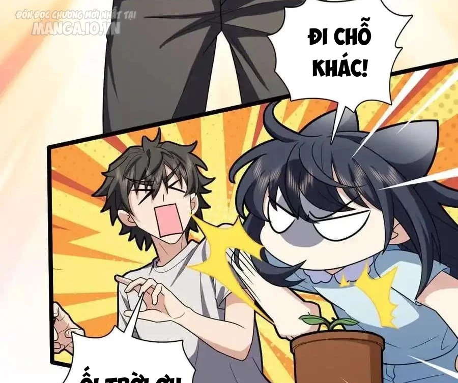 Bà Xã Nhà Tôi Đến Từ Ngàn Năm Trước Chapter 284 - Trang 4