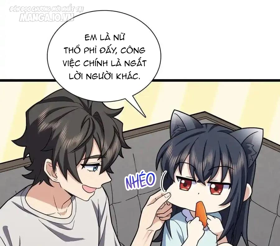 Bà Xã Nhà Tôi Đến Từ Ngàn Năm Trước Chapter 284 - Trang 4