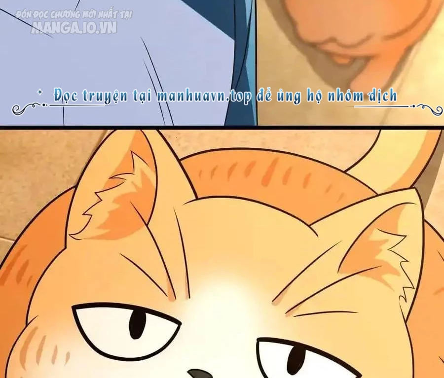 Bà Xã Nhà Tôi Đến Từ Ngàn Năm Trước Chapter 284 - Trang 4