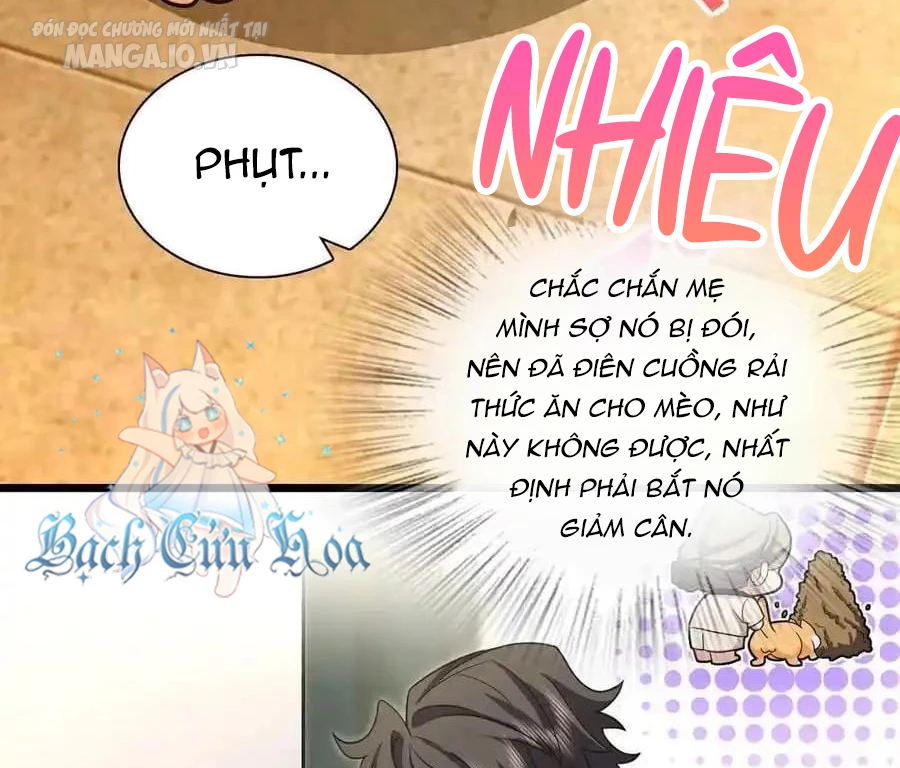 Bà Xã Nhà Tôi Đến Từ Ngàn Năm Trước Chapter 284 - Trang 4