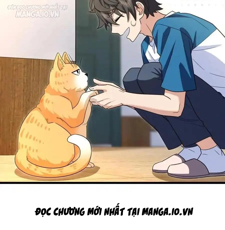 Bà Xã Nhà Tôi Đến Từ Ngàn Năm Trước Chapter 284 - Trang 4